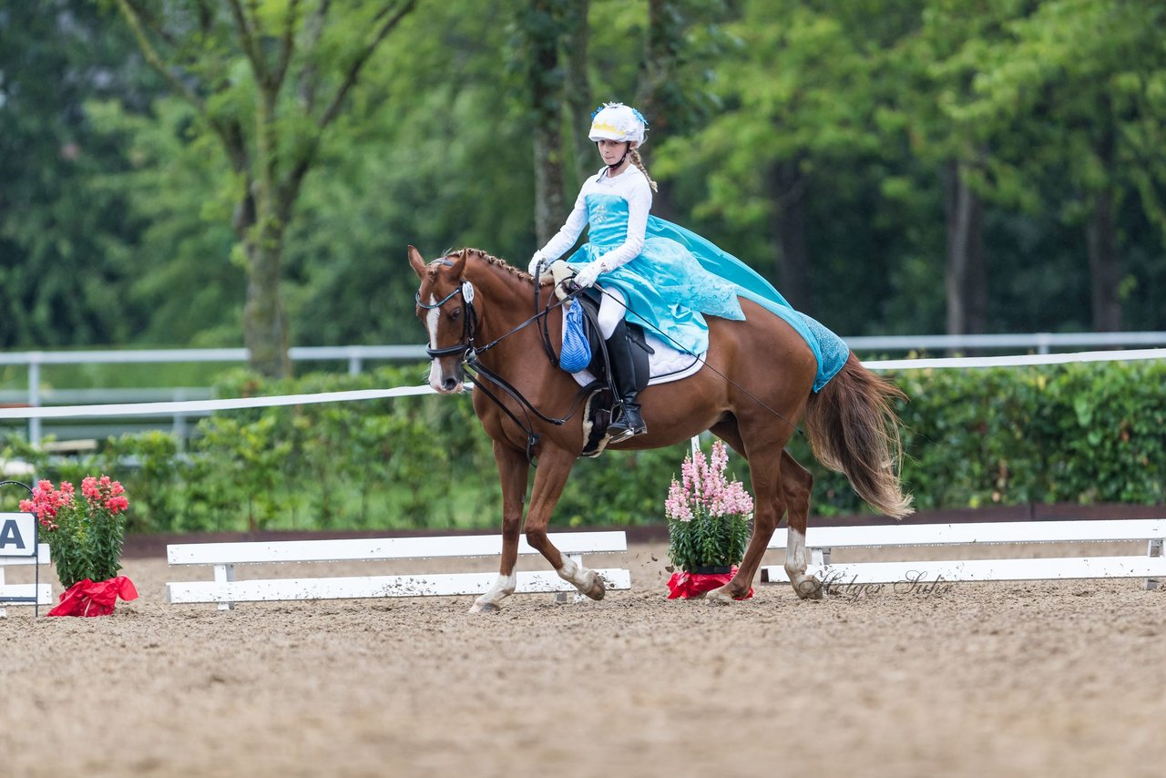 Bild 65 - Pony Akademie Turnier